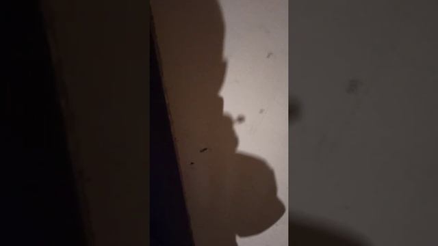 Это Лучшая Работа в Мире...Часть 1 смотреть онлайн