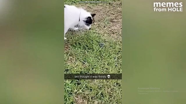 ТЕСТ НА ПСИХА;УРОВЕНЬ ХАРД смотреть онлайн