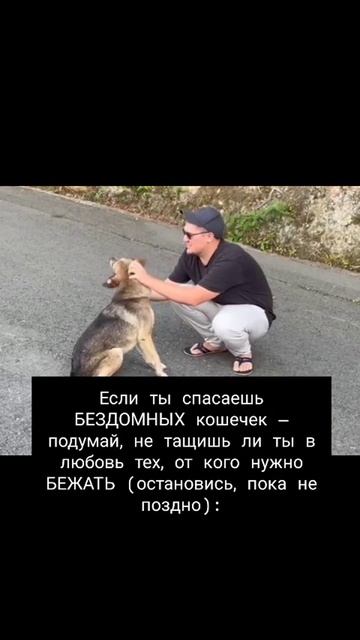 Если ты спасаешь БЕЗДОМНЫХ кошечек — подумай, не тащишь ли ты в любовь тех, от кого нужно БЕЖАТЬ: