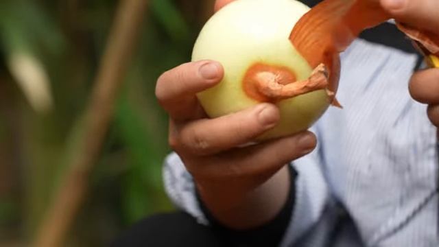 Harvesting Many Chicken Goes To The Market Sell, Chicken Farm, Daily Farm | Mini Sweet