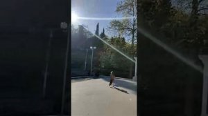 Тропы тишины и живой гармонии