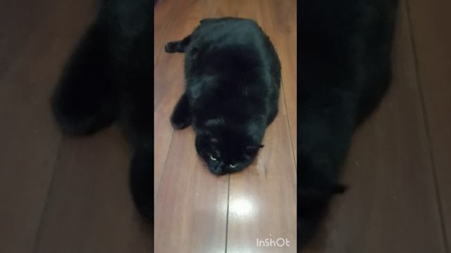 Поездка в город и в гости🔥👌
