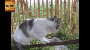 Фантазер ,ты меня называла))) Приколы