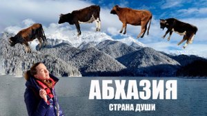 Однодневная экскурсия в Абхазию: что успела увидеть и стоит ли ехать?