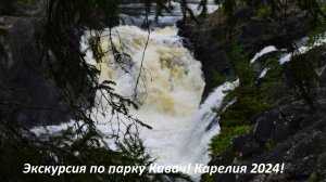 Прогулка по парку Кивач! Посещаем водопады! Отпуск в Карелии 2024! Водопад Кивач! Экскурсия.