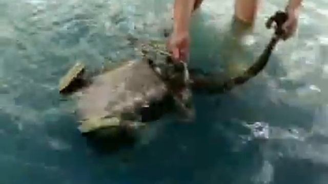 Подводный робот SEA ANGEL