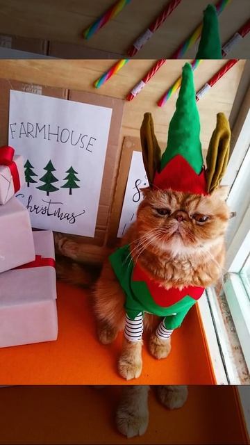 Модные тренды для вечеринки смотреть онлайн