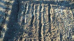 Что такое маячковый посев