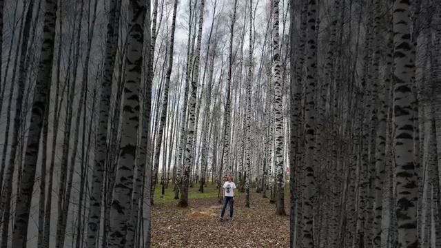 БЕРЁЗЫ апрель 2025г смотреть онлайн