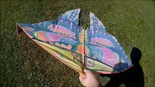 Летучий змей. Аня первый раз запускает летучего змея(бабочку). смотреть онлайн