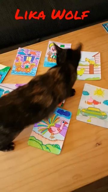 Выбор Картин🖼для Выставки 🎨великого Художника😍 Смешные Котики | Милые котята | кошки|Cute cats
