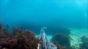 охота на кефаль, Севастополь  Голубая бухта  18,10,2017