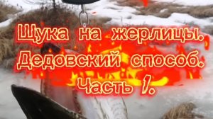 ЩУКА РВЁТ ЛЕСКУ! ЧАСТЬ 1. 22.04.2025 Г.