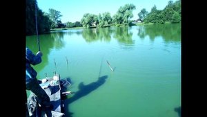 Общественное зарыбление водоёма
