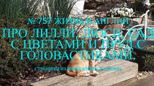 Про Лилли, Люси, сад с цветами и пруд с головастиками. № 757 Жизнь в Англии