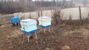 Подготовил для пчёл, новые улья ППС, к новому сезону