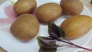 Картофельные шашлычки