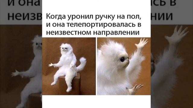 Лютые приколы,мемы 2019 | самые класные мемасы| Засмеялся проиграл!/лучшая подборка мемов, приколов смотреть онлайн