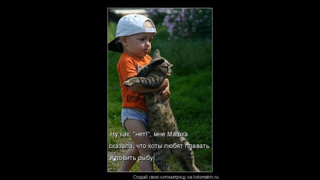 Котоматрица