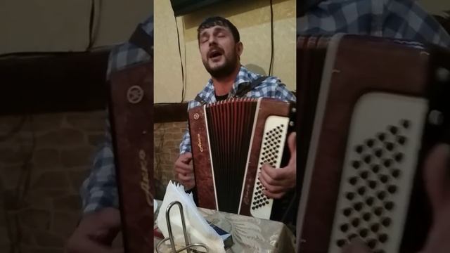 Тимур раджабов(4)