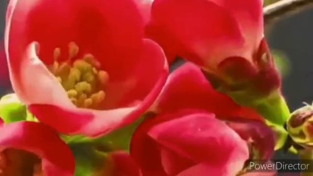 Доброго дня в любви! смотреть онлайн