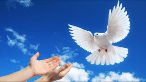 Танец "Мир без войны" ("Дети всей земли") на празднике 9 Мая в детском саду.