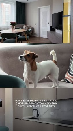 Желаем всем жить в красивых и удобных интерьерах #ремонт #отделочнаякомпания #ремонтквартиры