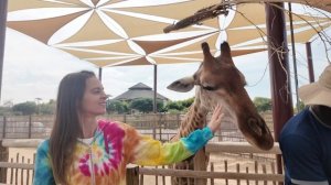 VIP экскурсия в Дубайском Сафари Парке | Честный обзор 2024