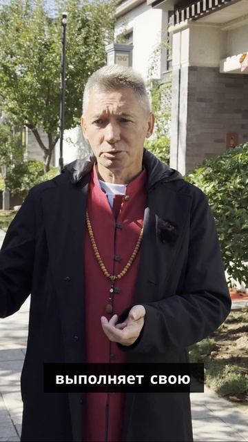 Как укоренение помогает получить исцеляющую энергию? смотреть онлайн