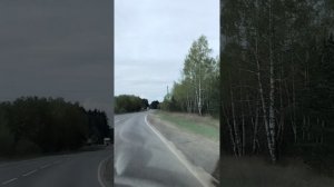 1 мая 2025 года
из Ярославской области в Ростовскую