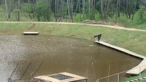 Forest Fishing 02.05.25