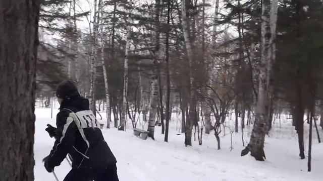Все на лыжи:)