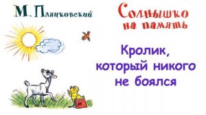 М. Пляцковский - Сказка "Кролик, который никого не боялся" Из книги "Солнышко на память" - Слушать