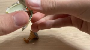 Иностранное Kinder - яйцо!