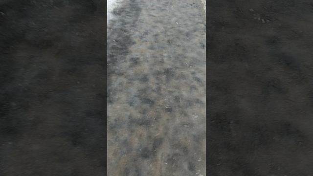 13 марта 2025 г., 9:57:46
ул. Полины Осипенко
VID_20250313_095633475