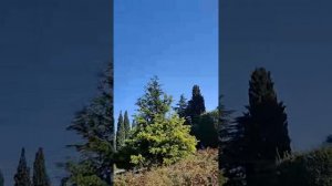 Взгляд сквозь заповедные мгновения
