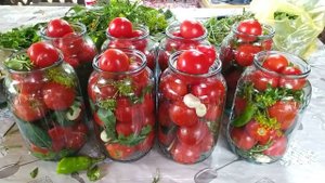Прекрасный рецепт соленых помидор в банке на зиму.