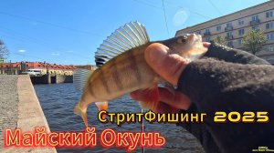 МАЙСКИЙ ГОРОДСКОЙ ОКУНЬ ЭТО ПРОГУЛКА СО СПИННИНГОМ ПО ГОРОДУ ПОЛУЧИЛАСЬ КАК КАРДИО ТРЕНИРОВКА ФИТНЕС