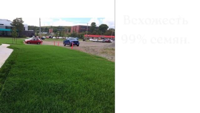 Газон с экономией от 30 тыс.руб.🫣