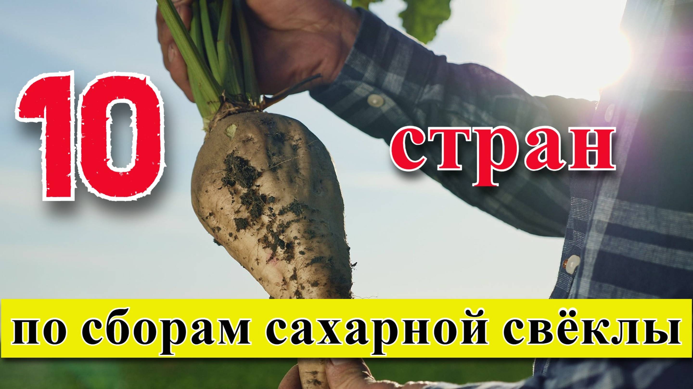 ТОП 10 стран по сборам сахарной свёклы