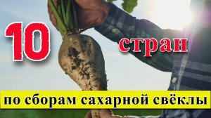 ТОП 10 стран по сборам сахарной свёклы