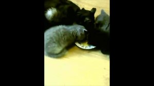 вкуснятина
