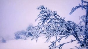 Звук метели в зимнюю пору