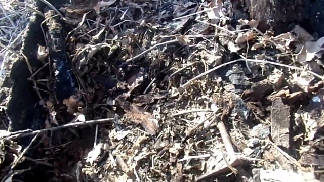 на проталинах полей смотреть онлайн