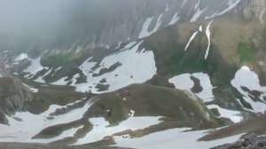 Оштен-Фишт 2011