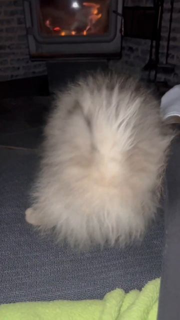 Он покорил моё 🧡 смотреть онлайн