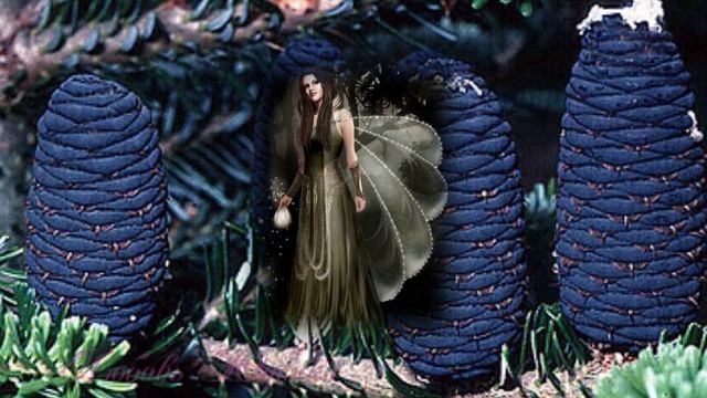 Фестиваль шишек