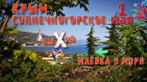 КРЫМ / Маёвка у МОРЯ / Солнечногорское