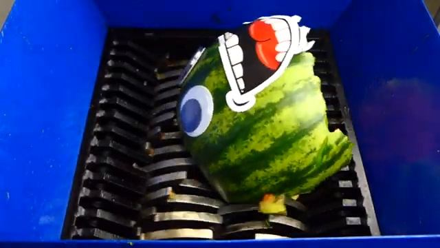 Арбуз против измельчителя !!!