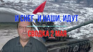 И снег идёт, и наши идут, сводка 2 мая